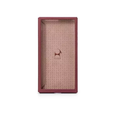 Astell&Kern PD10 Leather Case in Geneva | Digistore.ch