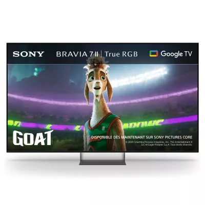 Sony BRAVIA 7 II K85XR75M2PB.CEI in Geneva | Digistore.ch