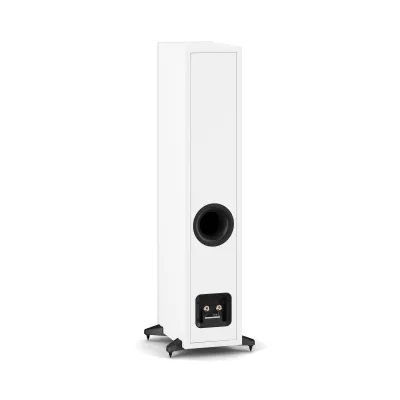 DALI SONIK 5 in Genf | Digistore.ch