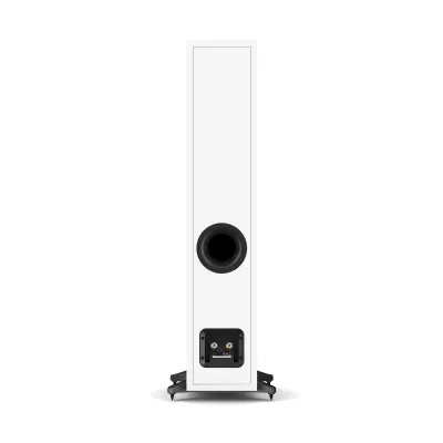 DALI SONIK 5 in Genf | Digistore.ch