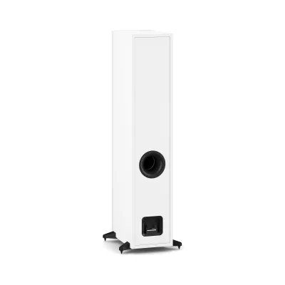 DALI SONIK 7 in Genf | Digistore.ch