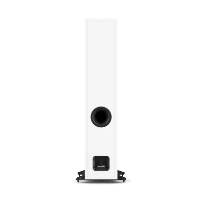 DALI SONIK 7 in Genf | Digistore.ch