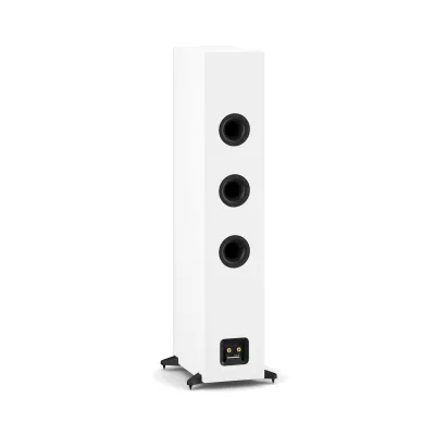 DALI SONIK 9 a Ginevra | Digistore.ch