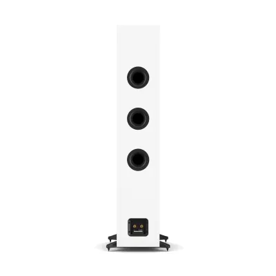 DALI SONIK 9 in Genf | Digistore.ch