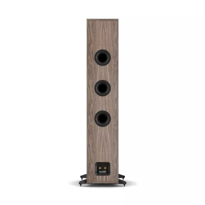 DALI SONIK 9 a Ginevra | Digistore.ch