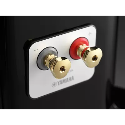 Yamaha NS-2000A à Genève | Digistore.ch