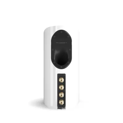 DALI EPIKORE 3 a Ginevra | Digistore.ch