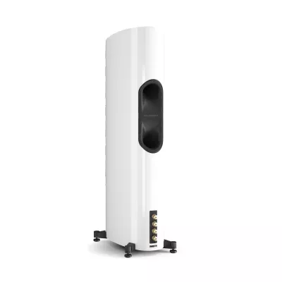DALI EPIKORE 9 in Genf | Digistore.ch