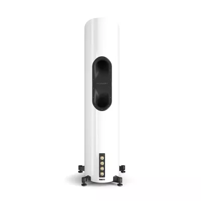 DALI EPIKORE 9 in Genf | Digistore.ch