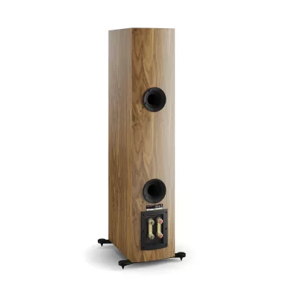 DALI RUBIKORE 6 Natural Walnut a Ginevra | Digistore.ch