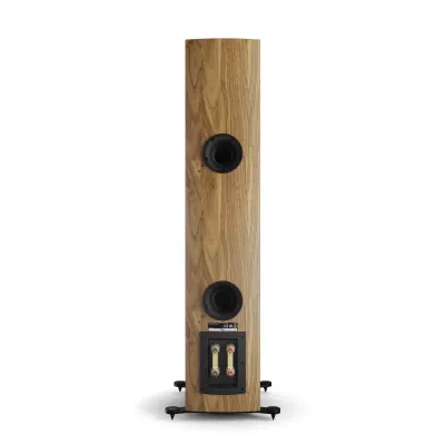 DALI RUBIKORE 6 Natural Walnut a Ginevra | Digistore.ch