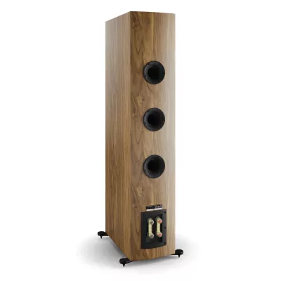 DALI RUBIKORE 8 Natural Walnut a Ginevra | Digistore.ch