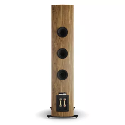 DALI RUBIKORE 8 Natural Walnut a Ginevra | Digistore.ch