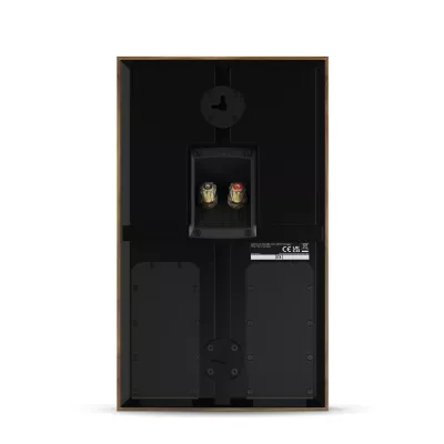 DALI RUBIKORE ON-WALL Natural Walnut a Ginevra | Digistore.ch