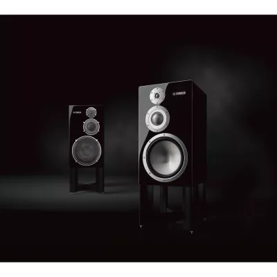 Yamaha NS-5000 à Genève | Digistore.ch