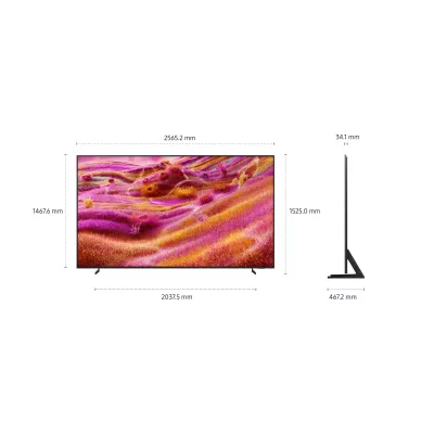 Samsung QE115QN90FT a Ginevra | Digistore.ch