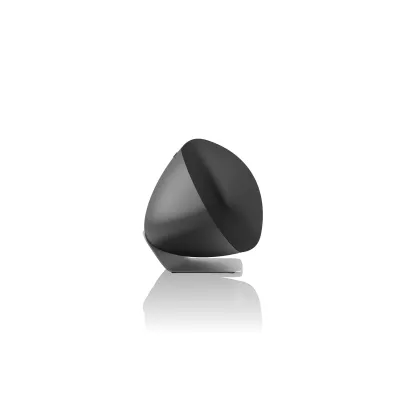 Bowers & Wilkins Zeppelin Pro in Genf | Digistore.ch