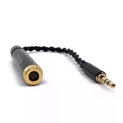 Audeze Adapterkabel 6,3 mm auf 3,5 mm in Genf