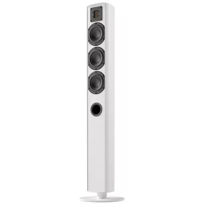 Piega Ace 50 à Genève | Digistore.ch