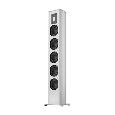 Piega Premium 501 Wireless Gen2 in Genf | Digistore.ch