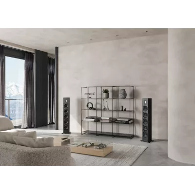 Piega Premium 701 Wireless Gen2 a Ginevra | Digistore.ch