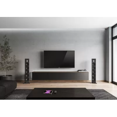 Piega Premium 701 Wireless Gen2 a Ginevra | Digistore.ch