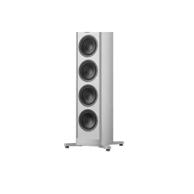 Piega Coax 811 / Premium 801 à Genève | Digistore.ch