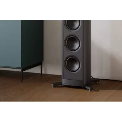 Piega Coax 811 / Premium 801 à Genève | Digistore.ch