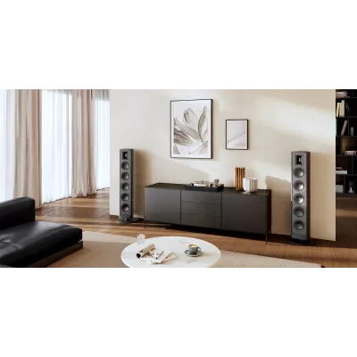 Piega Premium 801 à Genève | Digistore.ch