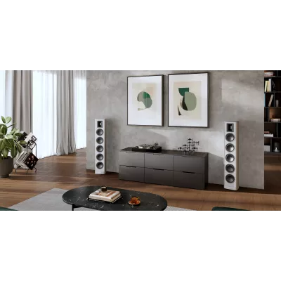 Piega Premium 801 à Genève | Digistore.ch
