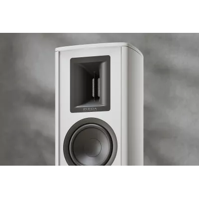 Piega Premium 801 à Genève | Digistore.ch