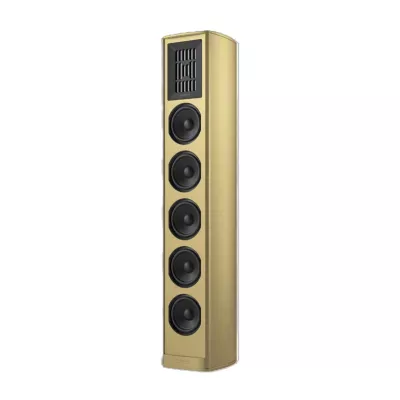 Piega Coax 611 a Ginevra | Digistore.ch