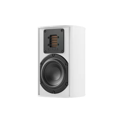 Piega Ace 30 a Ginevra | Digistore.ch