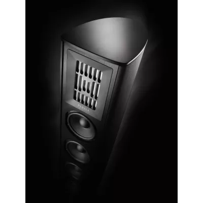 Piega Coax 611 a Ginevra | Digistore.ch