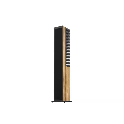 Piega Master Line Source 3 a Ginevra | Digistore.ch