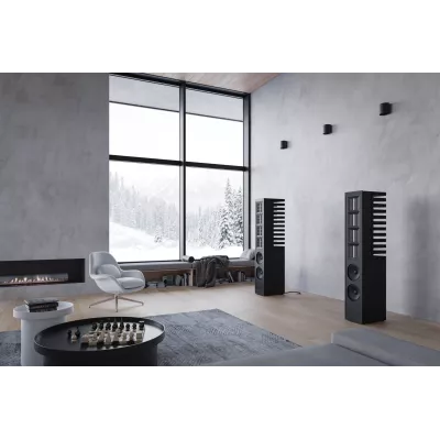 Piega LTD Master Line Source 2 à Genève | Digistore.ch