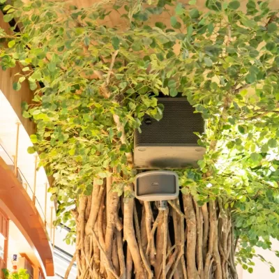 Void Acoustics Cyclone 55.1 à Genève | Digistore.ch
