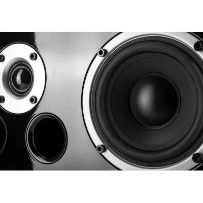 Wilson Exclusive Line Vocal EL in Geneva | Digistore.ch