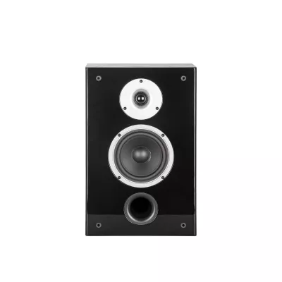 Wilson Raptor On-Wall in Geneva | Digistore.ch