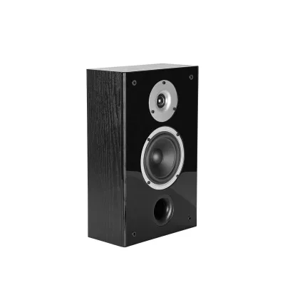 Wilson Raptor On-Wall a Ginevra | Digistore.ch