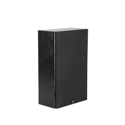 Wilson Raptor On-Wall a Ginevra | Digistore.ch