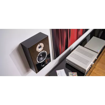 Wilson Raptor On-Wall a Ginevra | Digistore.ch