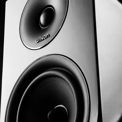 Wilson Exclusive Line EL-4 in Genf | Digistore.ch