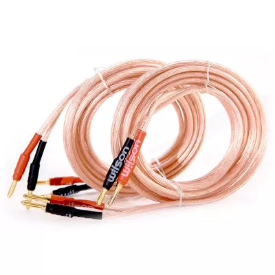 Wilson Spk Cable 4 mm² 2 x 3 m in Geneva | Digistore.ch