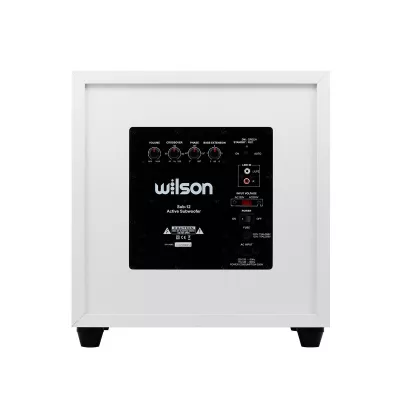 Wilson SUB-12 in Geneva | Digistore.ch