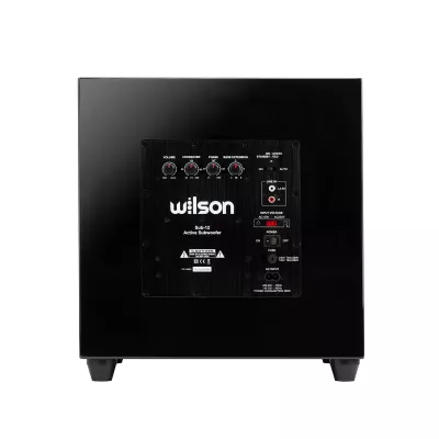 Wilson SUB-12 a Ginevra | Digistore.ch