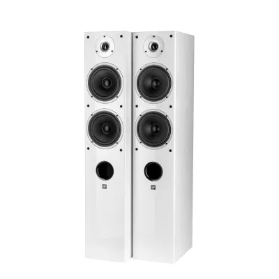 Wilson Raptor 7 a Ginevra | Digistore.ch