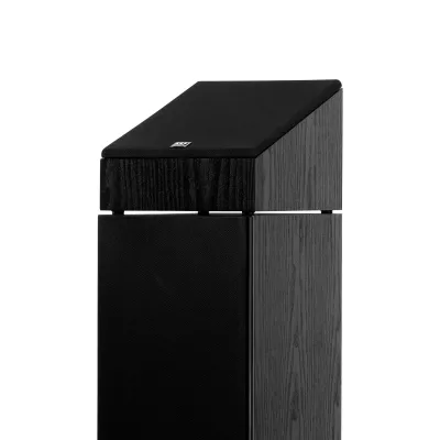 Wilson Raptor X à Genève | Digistore.ch
