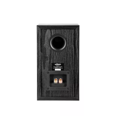 Wilson Raptor 1 in Geneva | Digistore.ch