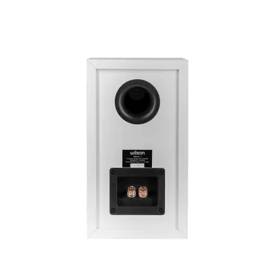 Wilson Raptor 1 in Geneva | Digistore.ch